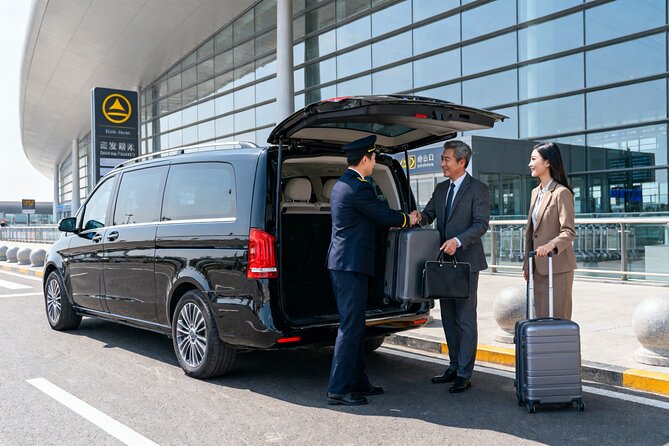 Professional chauffeur driver